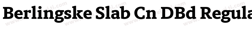Berlingske Slab Cn DBd Regular字体转换